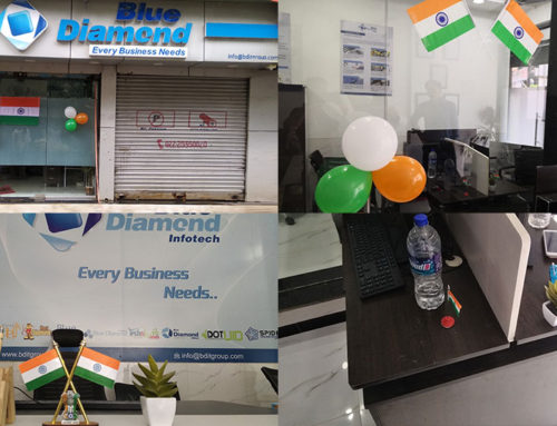 Blue Diamond Celebrations of 73rd Independence Day
