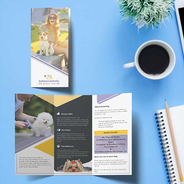 Tri Fold Company Brochure Design Tri Fold Company Brochure Design